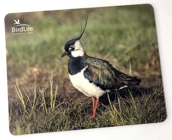 Mousepad &laquo;Kiebitz&raquo;