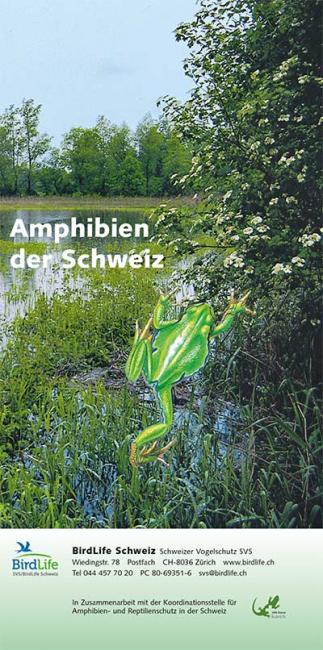 Feldf&uuml;hrer Amphibien der Schweiz