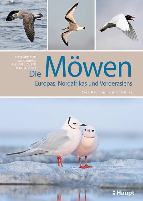 Die M&ouml;wen Europas, Nordafrikas und Vorderasiens