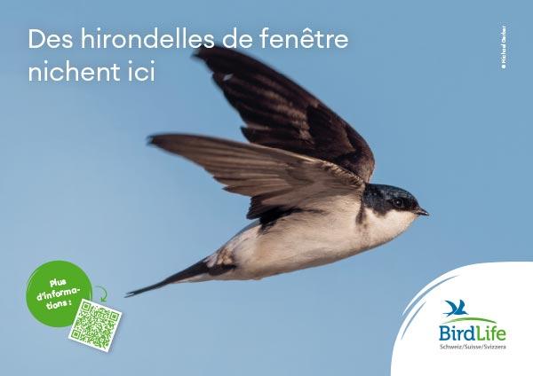 Plaquette en alu Hirondelle de fen&ecirc;tre 