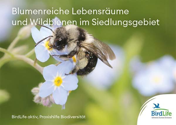 Blumenreiche Lebensr&auml;ume und Wildbienen im Siedlungsgebiet
