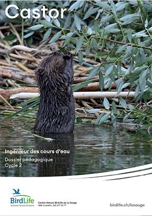 Dossier p&eacute;dagogique castor