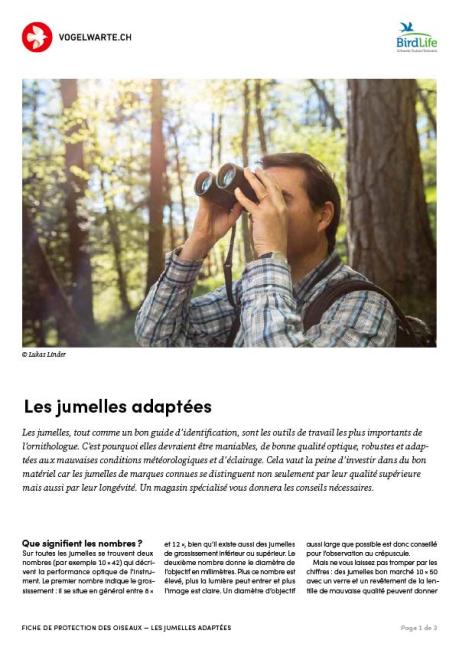 Les jumelles adapt&eacute;es