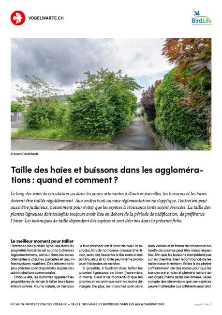 Taille des haies et buissons dans les agglom&eacute;rations