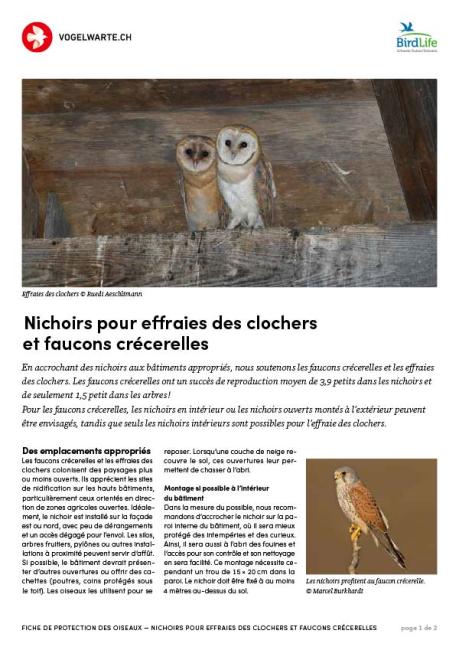 Nichoirs pour faucons cr&eacute;cerelles et effraies des clochers