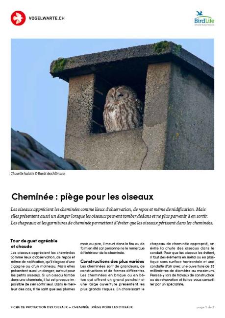 Chemin&eacute;e : pi&egrave;ge pour les oiseaux