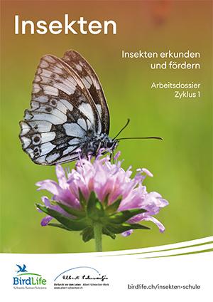 Arbeitsdossier Insekten Zyklus 1