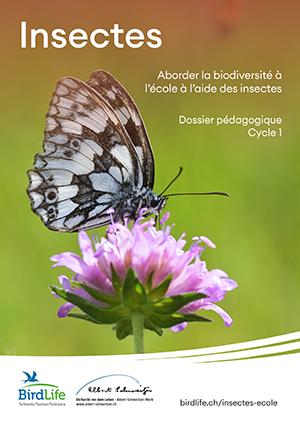 Dossier p&eacute;dagogique insectes