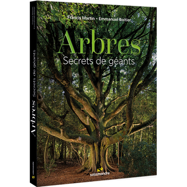 Arbres - Secrets de g&eacute;ants