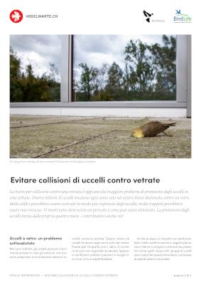 Evitare collisioni di uccelli contro vetrate