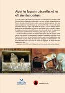 Aider les faucons cr&eacute;cerelles et les effraies des clochers