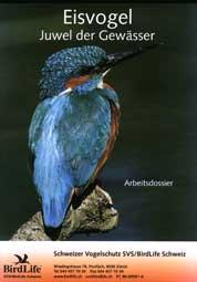 Arbeitsdossier Eisvogel