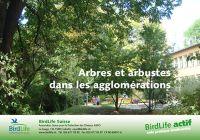 Arbres et arbustes dans les agglom&eacute;rations