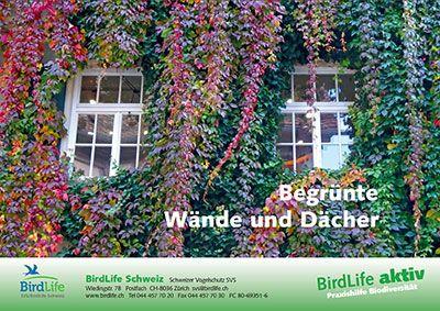 Begr&uuml;nte W&auml;nde und D&auml;cher