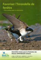 Favoriser l`hirondelle de fen&ecirc;tre