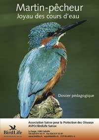 Dossier p&eacute;dagogique Martin-p&ecirc;cheur