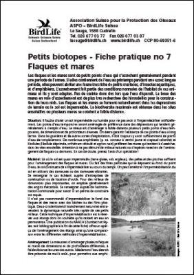 Petits biotopes &ndash; Flaques et mares