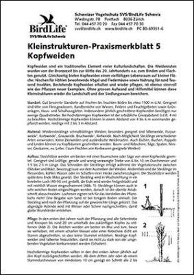Kleinstrukturen-Praxismerkblatt 5 &ndash; Kopfweiden