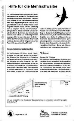 Hilfe f&uuml;r die Mehlschwalbe