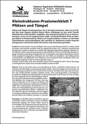 Kleinstrukturen-Praxismerkblatt 7 &ndash; Pf&uuml;tzen und T&uuml;mpel