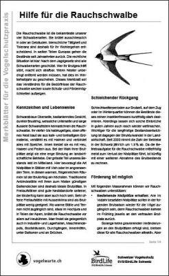 Hilfe f&uuml;r die Rauchschwalbe