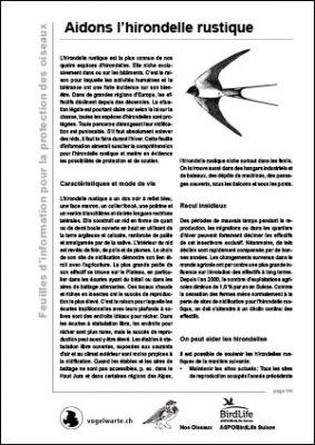Aidons l&rsquo;hirondelle rustique
