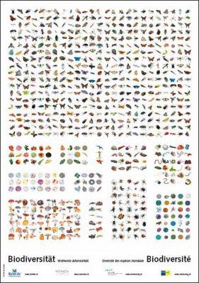 Grossposter &laquo;Biodiversit&auml;t: Weltweite Artenvielfalt&raquo; / Poster en large format &laquo; Biodiversit&eacute;: Diversit&eacute; mondiale des esp&egrave;ces &raquo;