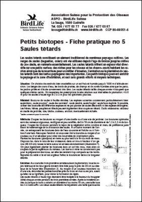 Petits biotopes &ndash; Saules t&ecirc;tards