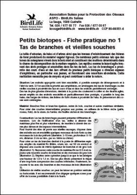 Petits biotopes &ndash; Tas de branches et vieilles souches