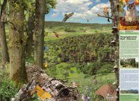 Poster &laquo;&Uuml;bergangsbereiche Wald - Kulturland&raquo;